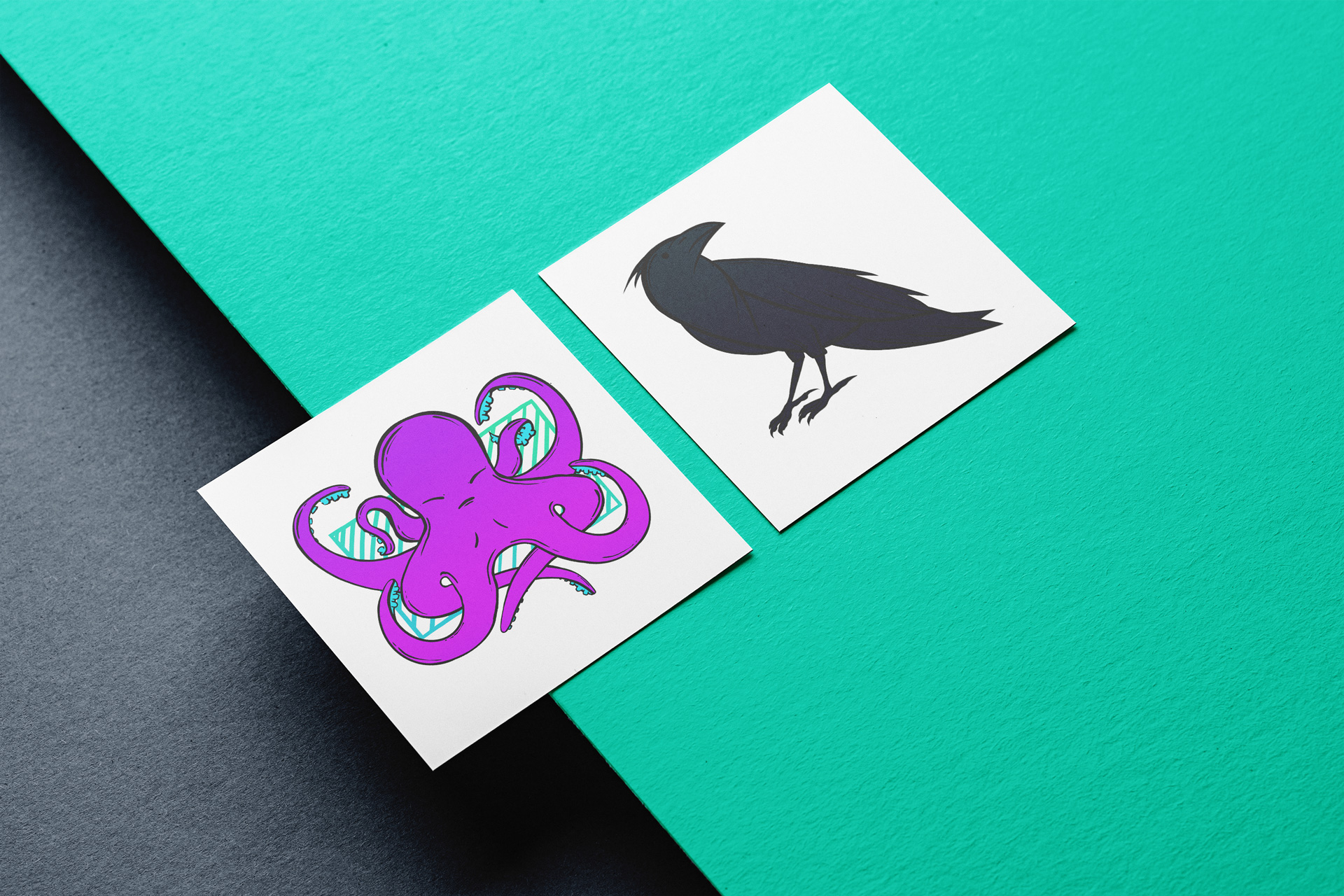 Octopus and crow illustration